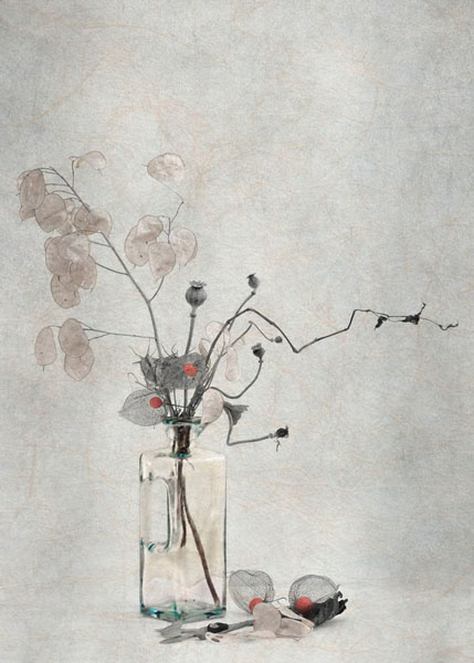 Photograph Michel Bochet Merand Bouquet Automnal on One Eyeland